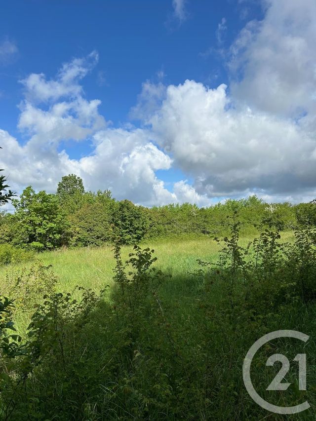 Terrain à vendre - 1500 m2 - La Sauvetat Sur Lede - 47 - AQUITAINE